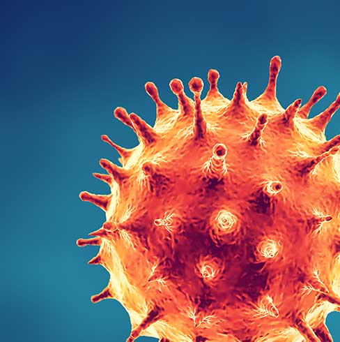cropped illustration of a single orange coronavirus against a blue background.